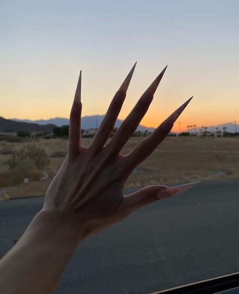 Super Sharp Nails, Aquarius Alien, Claws Aesthetic, Grabbers Nails, Long Sharp Nails, Blue Aesthetic Grunge, Nails Goth, Long Fingernails, Live In Japan