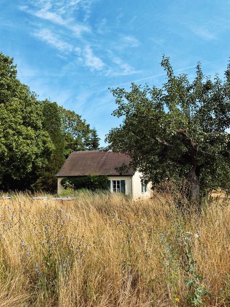 #house in the middle of a #field in Germany. #oldvillage #old #oldhouselove #garden House In Field, Field House, House In A Field, One Room Houses, Grass Field, Suburban House, Wooden Buildings, Old Cottage, Abandoned Mansions