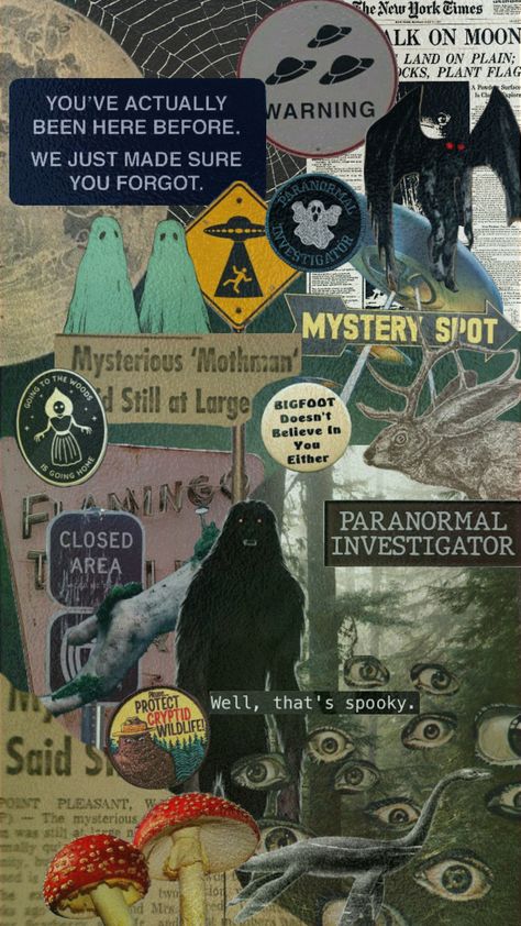 mystery in da woods #cryptid #cryptidcore #cryptidaesthetic #paranormal #vibes #vintage #forestcore Cryptidcore Aesthetic, Paranormal Aesthetic, Retro Artwork, Vulture Culture, Witchy Wallpaper, Point Pleasant, Paranormal Investigation, Ghost Hunting, Halloween Wallpaper