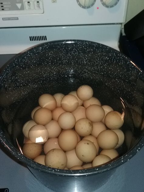 What To Do With Extra Eggs, Extra Eggs What To Do With, What To Do With Eggs, Yummy Egg Recipes, Instant Pot Hard Boiled Eggs, Rotten Egg, Perfect Hard Boiled Eggs, Bad Eggs, Chicken Snacks