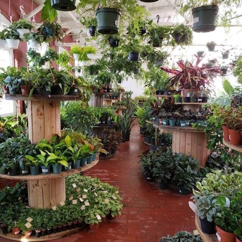 Garden Center Displays, Flower Shop Interiors, Tropical Greenhouses, Plant Display Ideas, Tattoo Plant, Flower Shop Design, Floor Plants, Garden Cafe, Garden Nursery