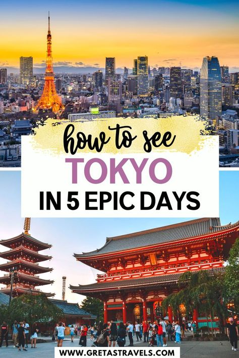 5 Day Tokyo Itinerary, Tokyo Travel Itinerary, Tokyo 5 Days Itinerary, What To Do In Tokyo, Tokyo Bucket List, Tokyo Itinerary, Asia Cruise, Travel Korea, Things To Do In Tokyo