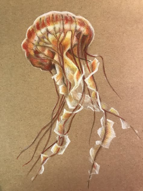 Coloured Pencil Jellyfish, Brown Paper Sketchbook, Coloured Pencil Illustration Art, Tan Toned Paper Art, Brown Paper Drawing Sketches, Toned Paper Drawing Colored Pencils, Brown Paper Art Drawing, Drawing Brown Paper, Toned Tan Paper Art