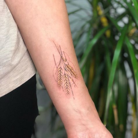 Sasha Vorobiova∣Tattoo artist on Instagram: “Wheat🌾” Wheat Tattoos For Women, Tattoo Wheat, Chris Tattoo, Wheat Tattoo, Up Tattoos, Ink Ideas, Artist On Instagram, Body Mods, Lotus Flower Tattoo