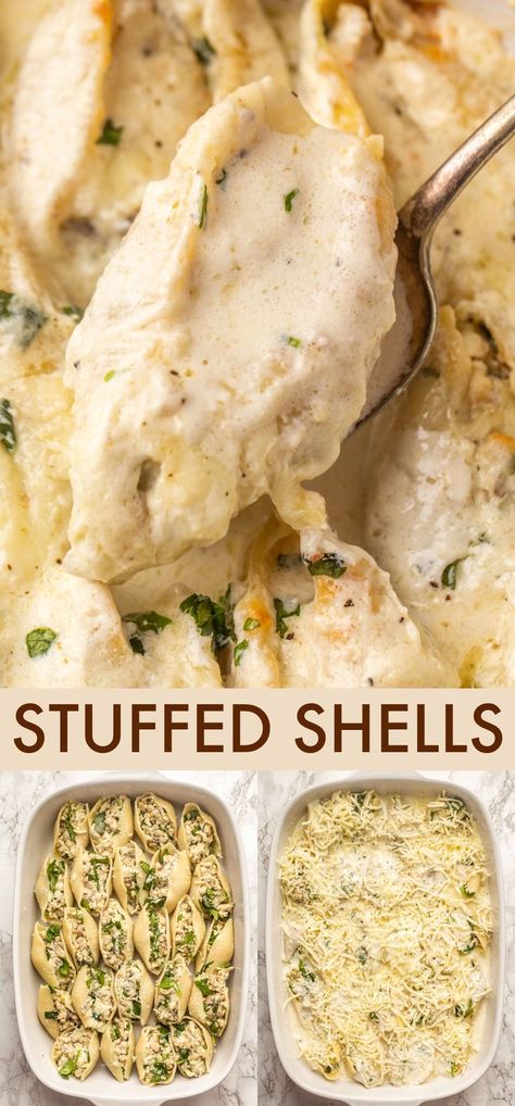 Sausage Alfredo Stuffed Shells, Stuffed Shells Recipe Alfredo, Stuffed Shells With Cream Sauce, Creamy White Wine Mushroom Stuffed Shells, Chicken Alfredo Shells Stuffed, Spinach Alfredo Stuffed Shells, Chicken Spinach Stuffed Shells, Alfredo Shells Stuffed, White Sauce Stuffed Shells