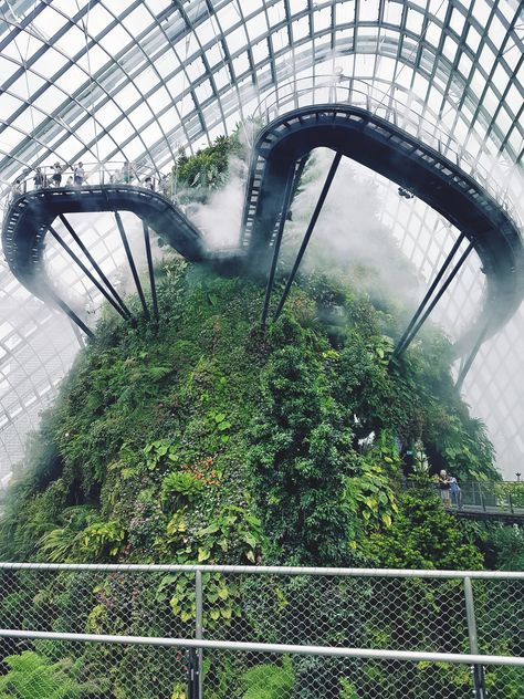 The Cloud Forest - Singapore Cloud Forest Singapore, Singapore Architecture, Cloud Forest, Airport Travel, Singapore Travel, Exploring The World, The Cloud, Camping And Hiking, Travel Agent