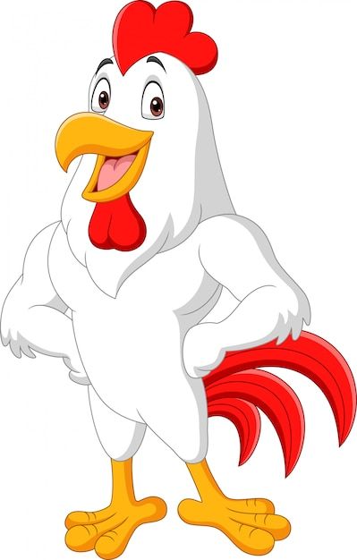 Cartoon rooster posing isolated on white... | Premium Vector #Freepik #vector #rooster #cock #cartoon-chicken #hen Chicken Song, Farm Drawing, Farm Illustration, Cartoon Rooster, Hen Farm, Farm Logo Design, Farm Craft, Church Images, Chicken Shop