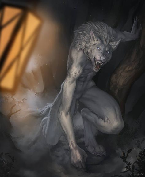 Werewolf Study, White Werewolf, Werewolf Aesthetic, Fantasy Wolf, Spirit Animal Art, Werewolf Art, Vampires And Werewolves, Canine Art, Wolf Pictures