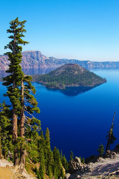 Crater Lake with Wizard Island, Oregon: Home of the remarkably blue, crystal clear waters of the nation's deepest lake. Crater Lake Oregon, The Oregon Trail, Crater Lake National Park, West Coast Road Trip, Crater Lake, Oregon Travel, Beautiful Lakes, Alam Yang Indah, Vacation Spots