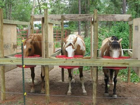 If you need to feed your horses grain outside... this can be a safe alternative Standing Stalls For Horses, Outdoor Horse Feeding Stalls, Feeding Stalls For Horses, Horse Feeding Stalls, Horse Feeding Station, Horse Grain Feeder, Feeding Horses, Horse Feeding, Underwater Dogs