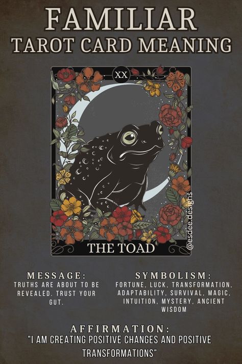 Familiar Tarot Card Meaning: The Toad. This card represents fortune, luck, transformation, adaptability, survival, magic, intuition, mystery, ancient wisdom. Your message is "Truths are about to be revealed. Trust your gut" Rabbit Spirit Animal Meaning, Wolf Meaning, North Mythology, Animal Tarot Cards, Spirit Animal Meaning, Animal Meanings, Witches Familiar, Card Meanings, Spiritual Animal