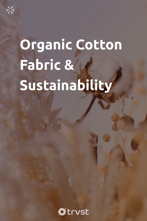 Growing Cotton, Cotton Boll, Collective Consciousness, Fibre And Fabric, Ethical Fashion Brands, Textile Company, More Water, Organic Cotton Fabric, The Fashion Industry