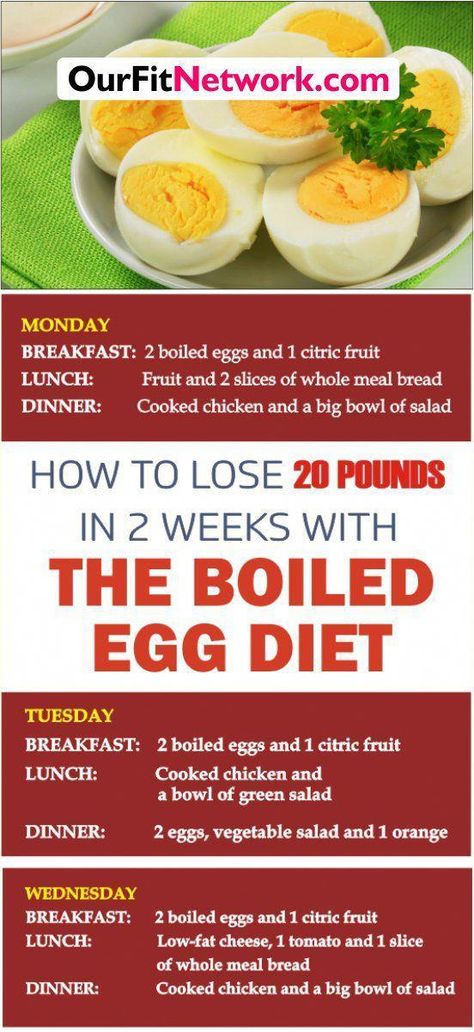 The Boiled Egg Diet Plan - The boiled egg diet is one of the many different diets to choose from, and it works in a similar way to others. Basically you are required to consume three meals a day with... Egg Jellyfish, Egg Diet Results, Getting Thick, Citric Fruits, The Egg Diet, The Boiled Egg Diet, Fruit Lunch, Brain Images, Egg Diet Plan