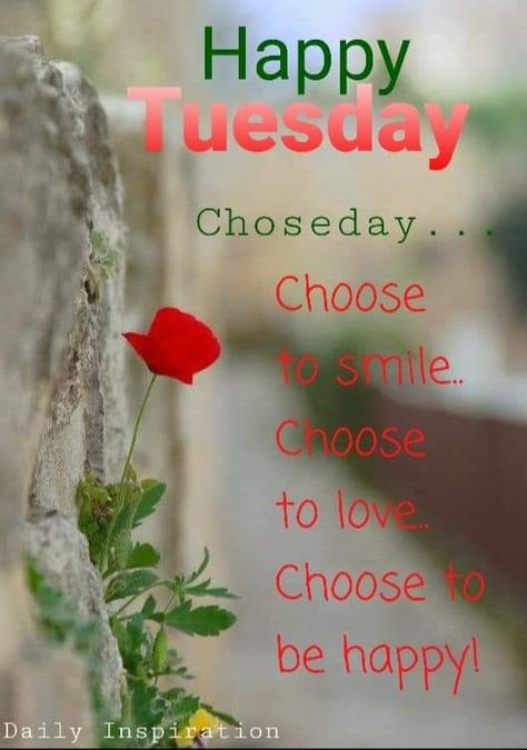 Tuesday Quotes Good Morning, Good Afternoon Quotes, Happy Tuesday Quotes, Afternoon Quotes, Tuesday Quotes, Tuesday Afternoon, Good Morning Cards, Choose Happy, Good Afternoon