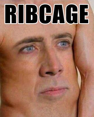 Ribcage funny nicholas cage meme Nicholas Cage Meme, Nicholas Cage Funny, Nickolas Cage, Nicholas Cage Face, Nicolas Cage Funny, Nick Cage, Nic Cage, Nicholas Cage, Academy Award