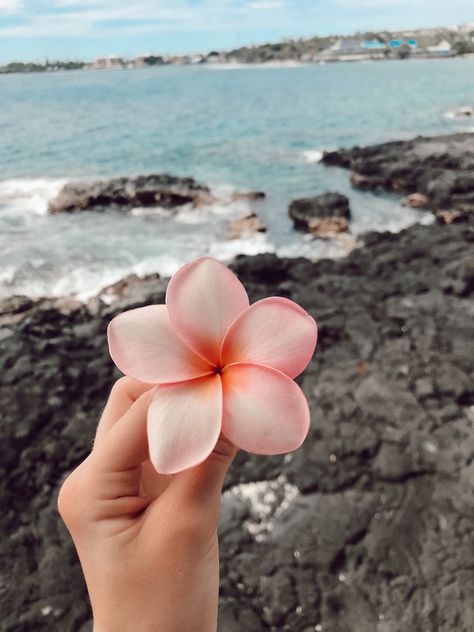 Wedding Green, Photography Love, Flower Photography, Instagram Summer, Art Beautiful, Flowers Nature, Garden Art, Hawaii, Roses