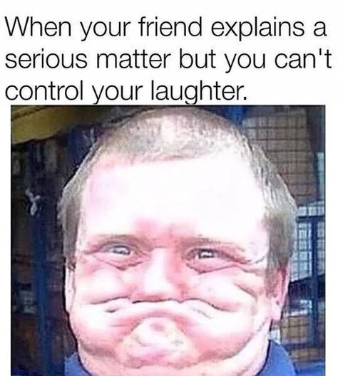 When your friend explains a serious matter but you can't control your laughter Laugh Meme, Meme Comics, Hilarious Memes, Funny Animal Jokes, Crazy Funny Memes, Memes Humor, Humor Memes, Try Not To Laugh, E Card