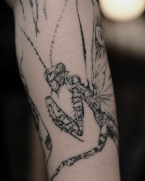 Some healed tattoos from different times and places Mayfly Tattoo, Lobotomy Tattoo, Funky Tattoos, Mayfly, Baby Tattoos, Abstract Tattoo, June 16, Tattoo Inspo, Henna Tattoo