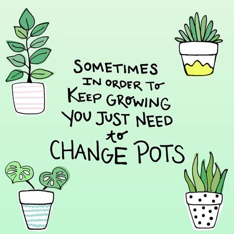 Sarah Davison | PhD Studygram (@sellendavison) • Instagram photos and videos Horticulture Therapy, Plants Classroom, Mottos To Live By, Plants Quotes, Decoration Styles, Garden Quotes, Big Goals, Empowerment Quotes, The Youth