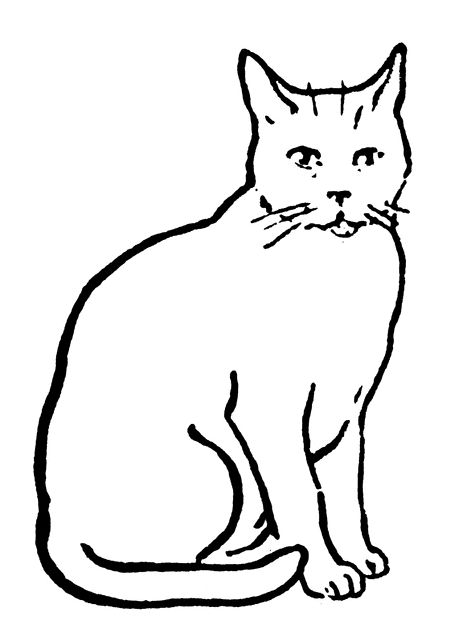 Black and white line drawing clip art of a sitting feline. Cat Template, Cat Printable, Cat Coloring, Simple Line Drawings, Cat Clipart, Cat Coloring Page, Cat Quilt, Cat Icon, Clipart Black And White