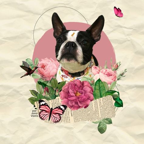 Colagem Pet Dog Collage Art, Pet Collage Ideas, Digital Collage Art Photoshop, Dog Collage, Collage Gifts, Animal Magazines, Memory Collage, Birthday Photo Collage, Photo Collage Gift