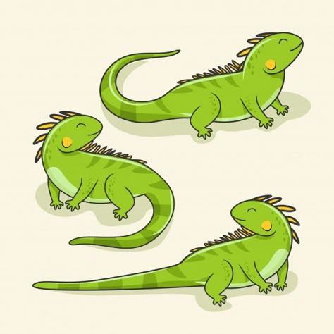 Iguana cartoon cute lizard animal reptile set Premium Vector | Free Vector #Freepik #vector #freegreen #freenature #freecharacter #freecartoon Iguana Drawing Cute, Cute Lizard Art, Cartoon Lizard Drawing, Cartoon Iguana, Cute Lizard Drawing, Iguana Cartoon, Iguana Illustration, Iguana Drawing, Reptile Drawing