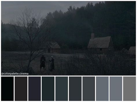 Color Palette Cinema su Instagram: ": "The VVitch: A New-England Folktale" (2015). •Directed by Robert Eggers •Cinematography: Jarin Blaschke •Production Design: Craig…" Robert Eggers, The Vvitch, Movie Color Palette, Cinema Colours, Pantone Colour Palettes, Color Drawing Art, Stunning Hairstyles, Paint Color Schemes, Production Design