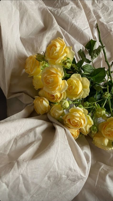 Romantic Yellow Aesthetic, Yellow Roses Aesthetic Wallpaper, Yellow Roses Aesthetic, Yellow Roses Wallpaper, Yellow Flowers Aesthetic, Yellow Roses Bouquet, Whatsapp Profile Wallpaper, Yellow Rose Bouquet, Yellow Aesthetic Pastel