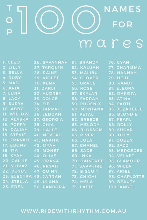 If your trying to decide on an approperate name for your filly or mare, check out one hundred of the sweetest names to call you horse or pony. Tap the link and let us know if this helped you choose a name that suits your new furbabie #horse #mare #pony #horses #equestrian #equine #pferd #cavallo #caballo #cheval #equestrianstyle #babynames #girlnames #horsenames #horseinspiration #helpfultips #horsetips #horseadvice #equineblogger #horseriding #horselover #ponystyle #barnname #namesake #barn Horse Show Names, Good Girl Names, Funny Horse Names, Best Horse Names, Mare Horse, Female Horse, Horse Riding Tips, Horse Dressage, Pretty Names