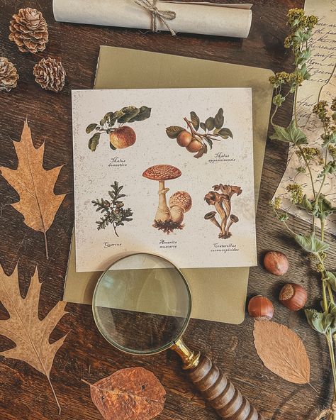 It’s tomorrow! 🗓️ Mark your calendars! Postcards, an autumn e-magazine and vintage digital labels will be available on my 𝐄𝐭𝐬𝐲 𝐒𝐡𝐨𝐩 on September 1st. 🍂🍁🍄 There are 5 different postcards/prints and several vintage labels! Perfect for cosying up your space or sending autumn magic to a friend. 💌 Thank you to everyone who already subscribed to the newsletter! With love, Indoora 🍄#cottagecore #cottagecorecommunity #darkacademia #cozyhome #stationery #cottageacademia #vintagestyle #thecotta... Fall Aesthetic Vintage, Decor Dark Academia, Snail Mail Pen Pals, Cottagecore Fall, Digital Labels, Cozy Fall Decor, Vintage Stationery, Autumn Magic, Botanical Illustration Vintage