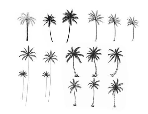 Palm Tattoos, Tree Tattoo Designs, Palm Tree Tattoo, Simple Tattoo Designs, Tattoo Script, Discreet Tattoos, The Palms, Subtle Tattoos, Small Tattoo Designs