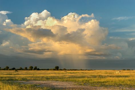 green grass field under white clouds and blue sky during daytime photo – Free Image on Unsplash Cloud Landscape Photography, Grass Field Painting, Free Landscape Photos, Background Environment, Watercolor Reference, Cloud Landscape, Green Grass Field, Pen Sketches, Abandonment Issues