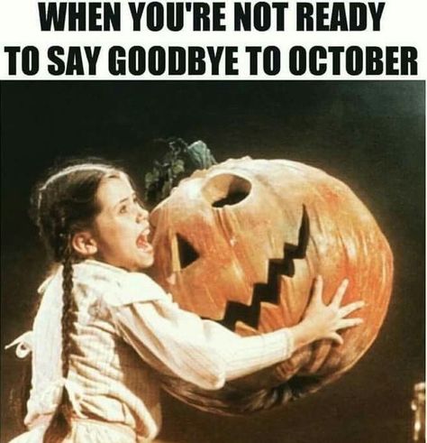 50 Funny Happy Halloween Memes Images of All Time Happy Halloween Meme, Funny Halloween Memes, Halloween Captions, Happy Halloween Quotes, Happy Halloweenie, Halloween Jokes, Halloween Memes, Creepy Facts, Halloween Quotes