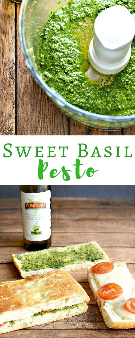 Sweet Basil Pesto Recipe, Vegetarian Dip Recipes, Vegetarian Dip, Basil Pesto Recipe, Herbs Recipes, Creamy Carrot Soup, Savory Dips, Basil Pesto Recipes, Homemade Dressings