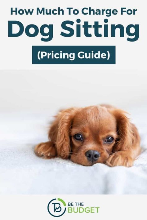 Dog sitting can be a lucrative side hustle. But how much should you charge for dog sitting? In this pricing guide, we'll help you set your rates. #DogSitting Dog Sitting Checklist, Dog Grooming Price List Template, How To Start A Pet Sitting Business, Pet Sitting Prices, Tips For Pet Sitting, Pet Sitting Price List, Pet Sitting Forms, Dog Sitting Business, Dog Boarding Facility