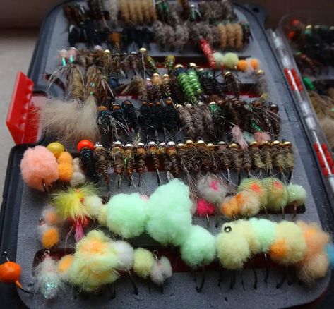 13 Best Flies For Steelhead: Most Effective Guide Flies Steelhead Flies, Mayfly, Lake Erie, Fly Tying, Fly Fishing, Egg, Fishing, Lake, Fish