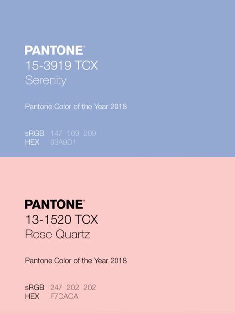 Rose Quarts And Serenity Seventeen, Seventeen Color Palette, Kpop Color Palette, Kpop Cafe, Serenity Nails, Seventeen Birthday, Cafe Board, Seventeen Ot13, Pantone Serenity