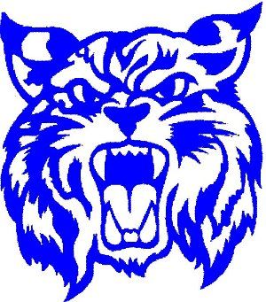 Wildcat Logo Blue | Free Images at Clker.com - vector clip art ... Bobcat Pictures, Kentucky Wildcats Logo, Head Clipart, Cat Mascot, Bob Cat, Wildcats Logo, How To Cat, Uk Wildcats, Go Big Blue