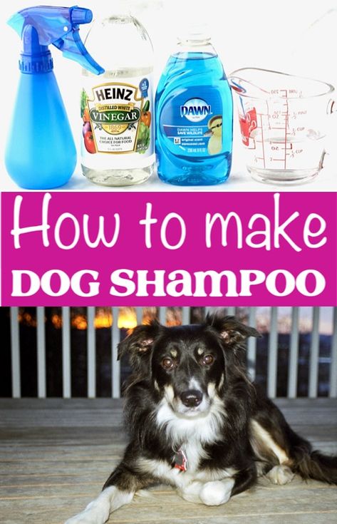 Dog Shampoo DIY Homemade Recipe! {Easy 3-Ingredient Spray}  This simple trick will save you so much!  Go grab the recipe and give it a try this week! Dog Shampoo For Fleas, Homemade Dog Conditioner, Diy Flea And Tick Shampoo For Dogs, Diy Dog Wash Shampoos, Diy Dog Shampoo For Yeast, Dog Soap Diy, Diy Dog Shampoo For Fleas And Ticks, Homemade Dog Shampoo Easy, Diy Flea Shampoo For Dogs