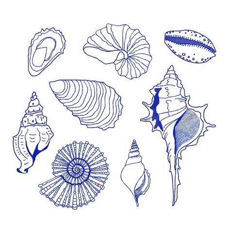 Chinoiserie Shell Set for Machine Embroidery, 8 Nautical Conch Marine Ocean Sea Fish Crab Design Pattern Instant Download ZIP Any Size - Etsy Sea Shell Graphic Design, Shell Pattern Design, Shell Embroidery Design, Embroidery Shells, Embroidery Free Pattern, Embroidery Ocean, Seashell Embroidery, Ocean Embroidery, Shell Embroidery