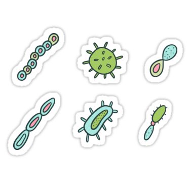 • Also buy this artwork on stickers, apparel, home decor, and more. Bio Project, Medical Stickers, Science Stickers, Tumblr Stickers, School Stickers, Microbiology, Good Notes, Hardcover Notebook, Aesthetic Stickers