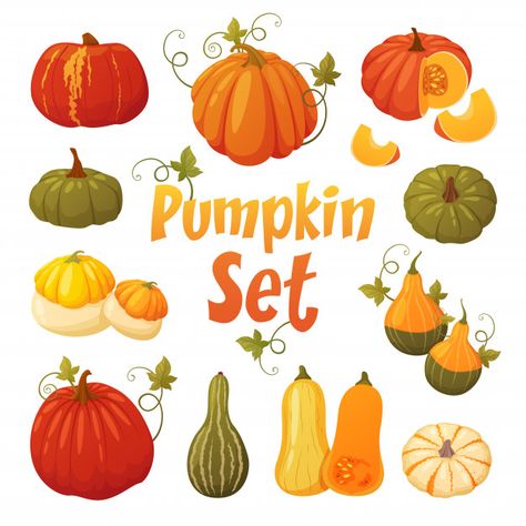 Pumpkin set with leaves isolated. Premiu... | Premium Vector #Freepik #vector #food Pumpkin Illustration Autumn, Hologram Colors, Elements For Design, Fall Clip Art, Instagram Projects, First Day Of Autumn, Pumpkin Illustration, Pumpkin Vector, Vector Elements