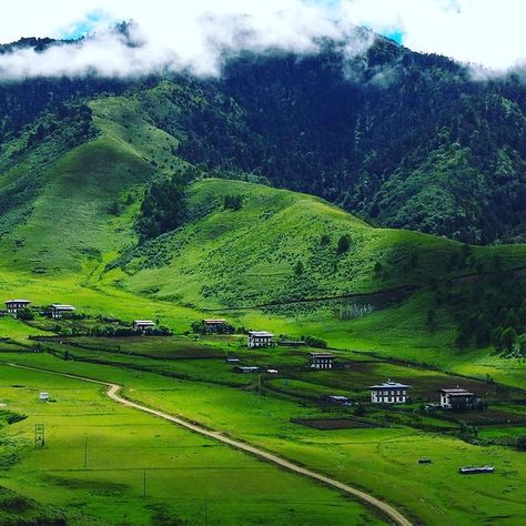 Amazing Bhutan (@amazing_bhutan) • Instagram photos and videos South Asia, Bhutan, Take Me Home, National Forest, Golf Courses, Beautiful Places, Country Roads, Forest, Natural Landmarks