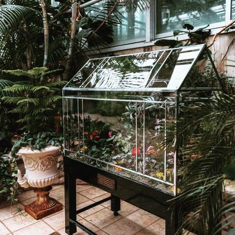 Large terrarium by Leadhead Glass for Meijer Gardens. Victorian Terrariums, Greenhouse Terrarium, Terrarium Shop, Wardian Case, Large Terrarium, Beautiful Terrariums, Victorian Garden, Vertical Gardens, Terrarium Diy