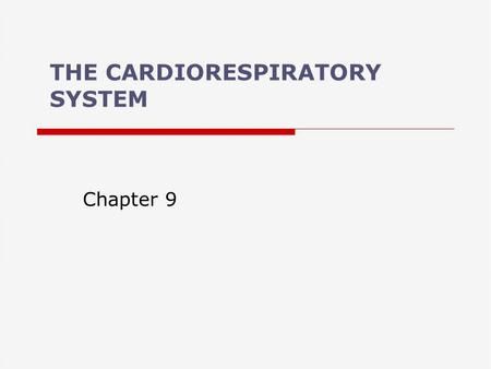 THE CARDIORESPIRATORY SYSTEM Chapter 9. Cardiorespiratory System  What are the functions of the cardiorespiratory system? –Transport O 2 to tissues and.> Cardiorespiratory System, The Cardiovascular System Notes, Cardiovascular System Diagram, Cardiopulmonary System, Cardiac Cycle, Carotid Artery Ultrasound, Arteries And Veins, Body Fluid, Heart And Lungs