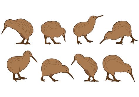 Set Of Kiwi Bird Vectors Kiwi Birds, Maori Symbols, Penguin Tattoo, Bird Birthday Parties, Bird Vector, Bird Template, Kiwi Bird, Nz Art, Vector Art Design