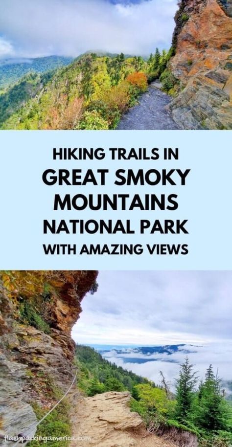 5+ best hikes with VIEWS in Great Smoky Mountains National Park: The best of hiking in the Smoky Mountains (TN + NC) ⛰🐻 Smokies travel blog | Flashpacking America Smokey Mountains National Park, Tennessee Road Trip, Smokey Mountains Vacation, Smoky Mountains Vacation, Hiking National Parks, Tennessee Vacation, National Park Vacation, Outdoor Vacation, National Park Road Trip