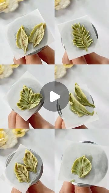 261 likes, 6 comments - pieceofcakehalifax on March 19, 2024: "Discover the Art of Buttercream Leaf Decoration! 🍃 #birthdaycake #dessert#cake#customcake #cakedecorating#cakedesign#style#buttercreamcake#weddingcake#creativecake#foodexploration#pearlcake#freshandsimple#party#heartcake#fancycake#prettycakes#cakesofinstagram#eggfreecake#foodie#cakestagram#redvelvetcake#buttercreamcake #vintagecake#easter#eastercake#spring". Buttercream Leaves Cake, Cake Leaves Decoration, Royal Icing Leaf Tutorial, Christmas Buttercream Flowers, Sheet Cake Flowers Decorating Ideas, Cake Decorating Leaves, Best Icing To Decorate Cakes, Fall Leaf Cupcakes, Piping Fall Leaves