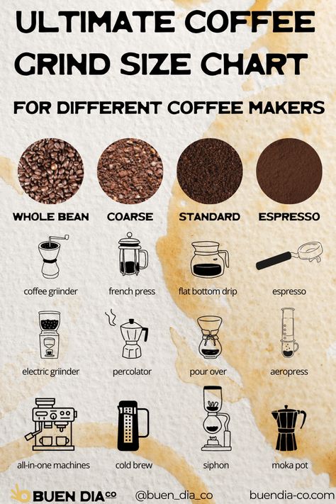 Ultimate Coffee Grind Size Chart for Different Coffee Makers - Buen Dia Co Coffee Infographic Design, Coffee Types Chart, Beans Photography, Coffee Processing, Coffee Beans Photography, Coffee Chart, Coffee Shop Business Plan, Coffee Process, Different Coffee