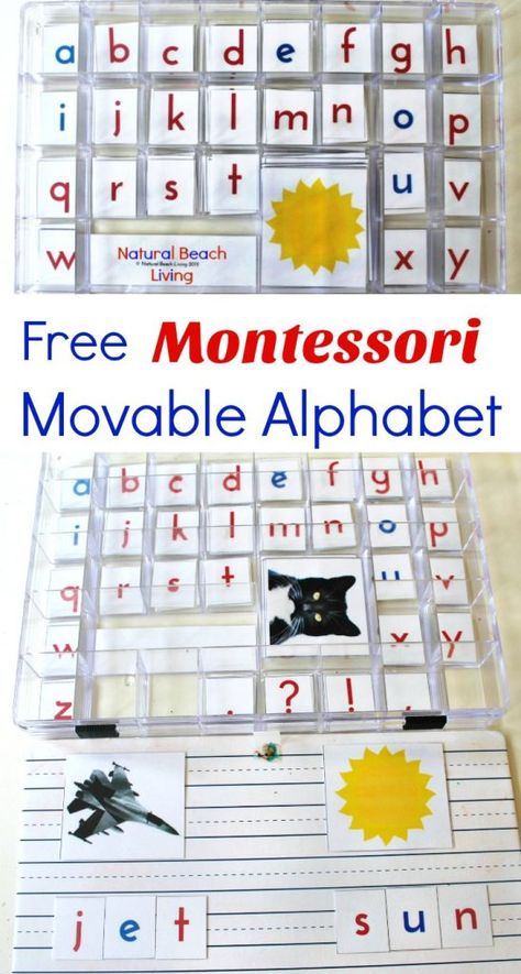 DIY Montessori Movable Alphabet (Free Printables) Montessori Preschool Activities, Alphabet Picture Cards, Vpk Activities, Montessori Alphabet, Kindergarten Montessori, Montessori Activities Preschool, Montessori Language, Montessori Printables, Montessori Elementary